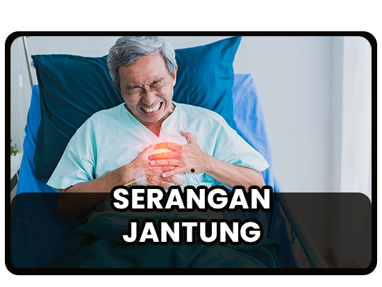 jantung